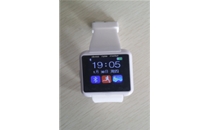 PG110-W personal dosimeter ---Bodyguard